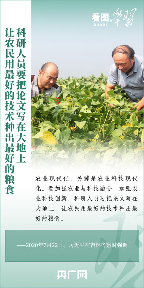 科技技术在农业生产中的应用研究，提高效率与可持续性