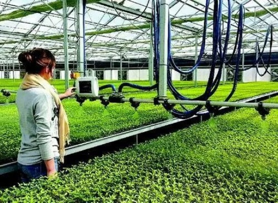 农业科技，推动现代农业发展的引擎