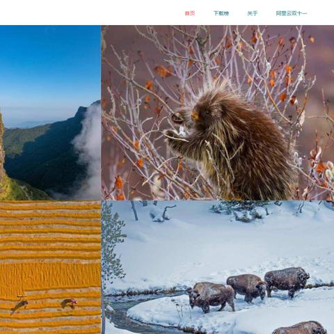 探索科技资讯投稿平台，自媒体科技作者的必知之地