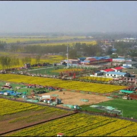 科技农业，引领未来农业发展的新引擎