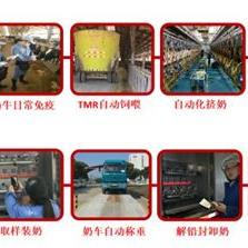 科技赋能农业，从精准种植到智能养殖的革命