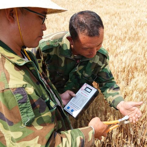 科技赋能农业，从精准种植到智能管理的革命