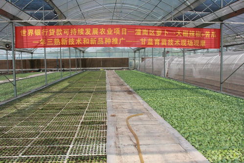 科技，农业发展的未来引擎