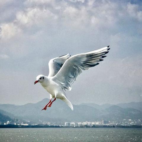 自媒体科技作者揭秘，科技风投稿一篇多少钱？