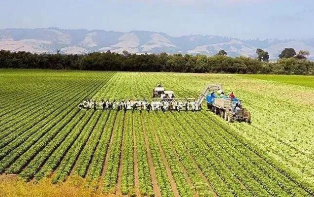 农业科技，现代农业的革命性变革