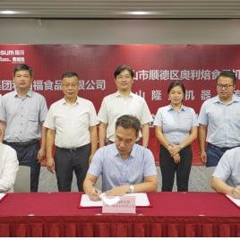 人工智能机器人上市公司，行业龙头的崛起与挑战