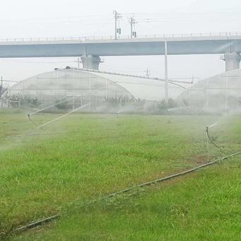 农业科技革命，英文视角下的全球农业创新与挑战