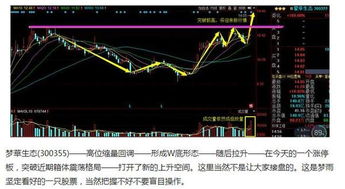 探索人工智能领域，龙头股票前十强公司深度解析